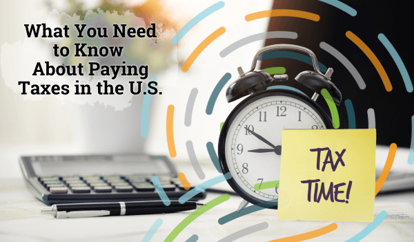 What You Need to Know About Paying Taxes